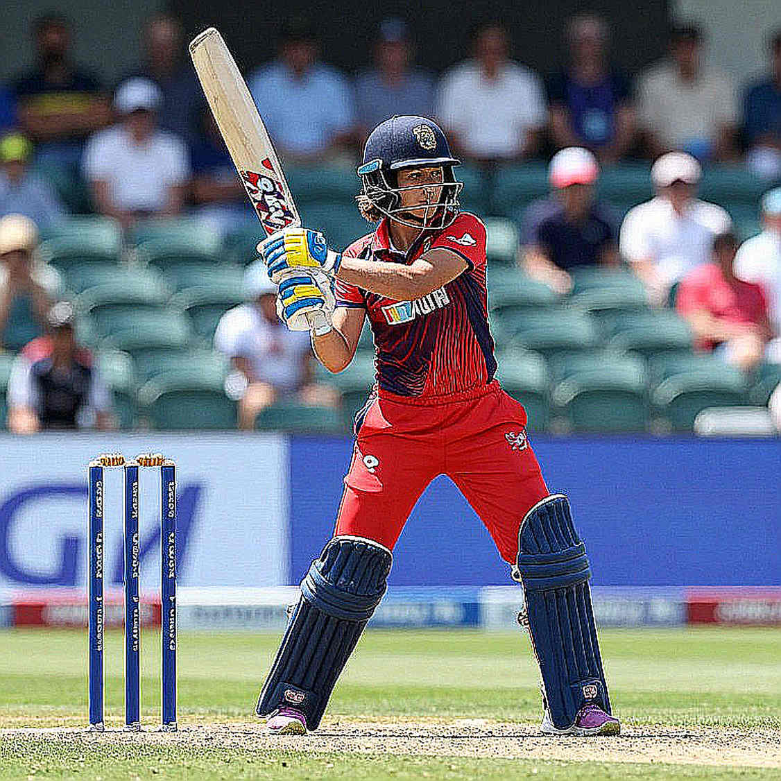 The 85-Run Mirror: Plimmer's Knock Reveals a Rebuild Still Half-Built The 85-Run Mirror: Plimmer's Knock Reveals a Rebuild Still Half-Built