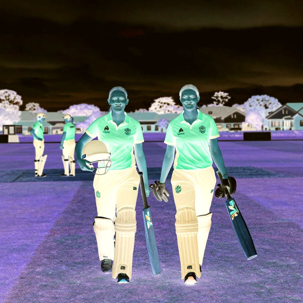 The Honesty of an Empty Spreadsheet: Cricket Data's Immutable Ledger The Honesty of an Empty Spreadsheet: Cricket Data's Immutable Ledger