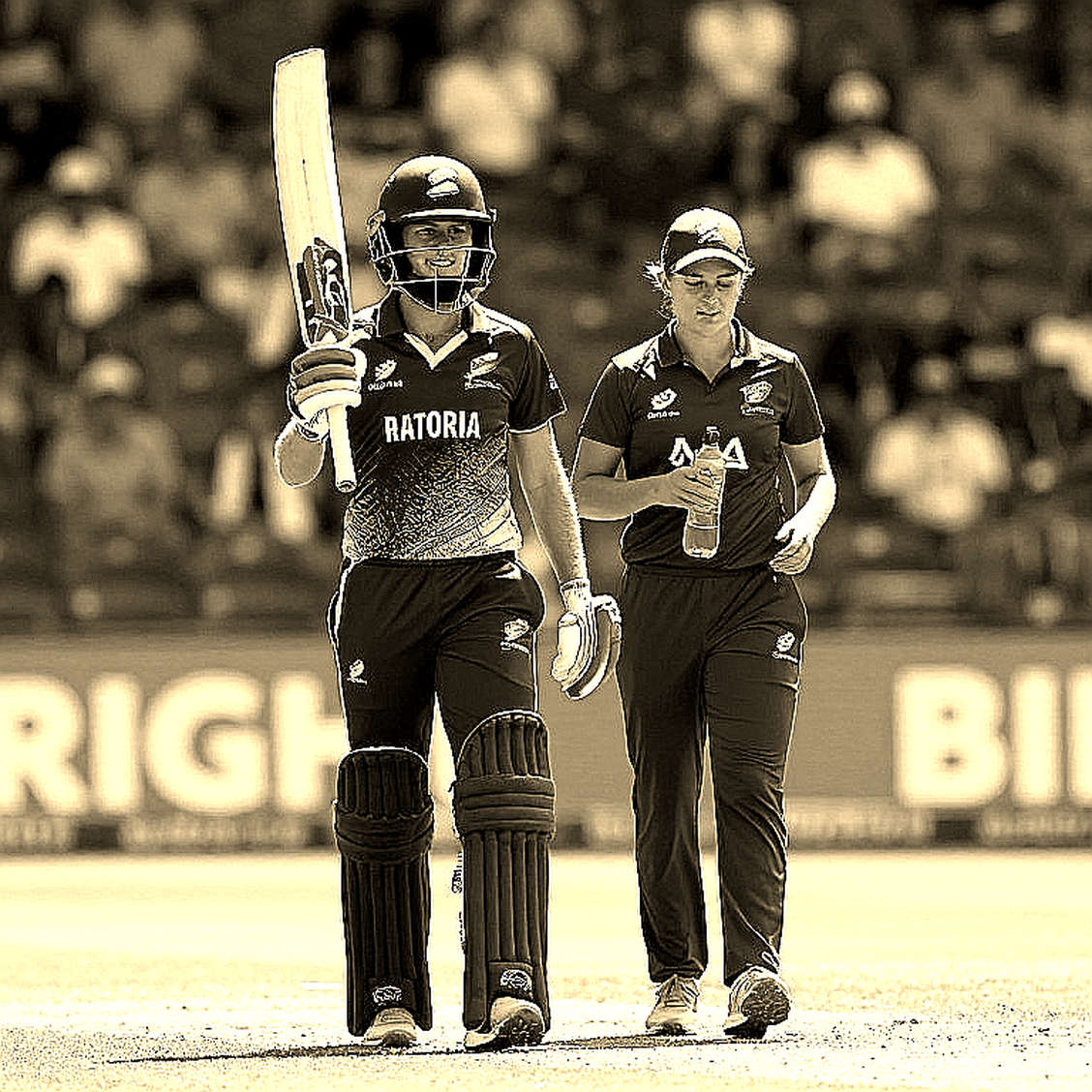 The Empty Scorecard: When Cricket's Information Chain Goes Quiet The Empty Scorecard: When Cricket's Information Chain Goes Quiet